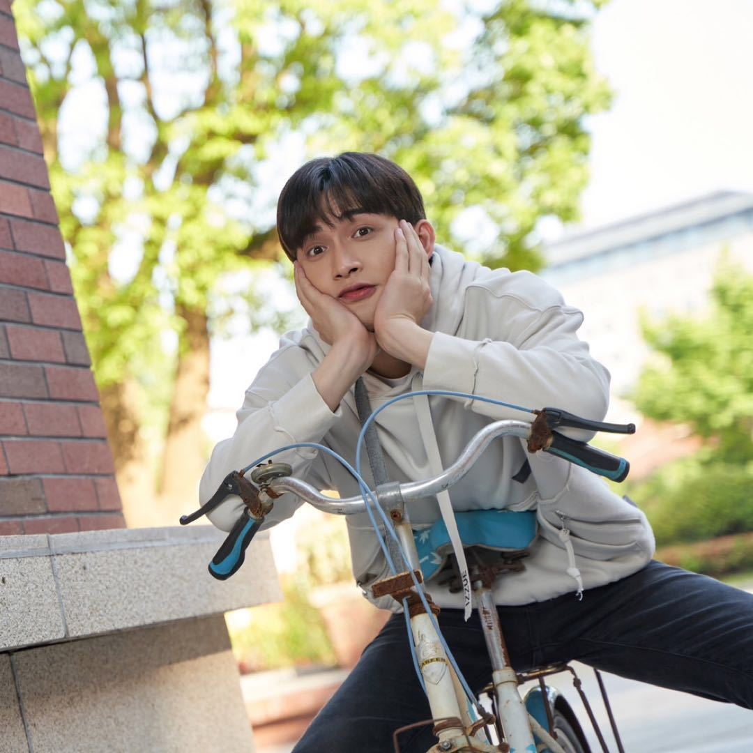 叶隙间洒落的木木三